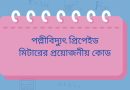 পল্লীবিদ্যুৎ প্রিপেইড মিটারের প্রয়োজনীয় কোড